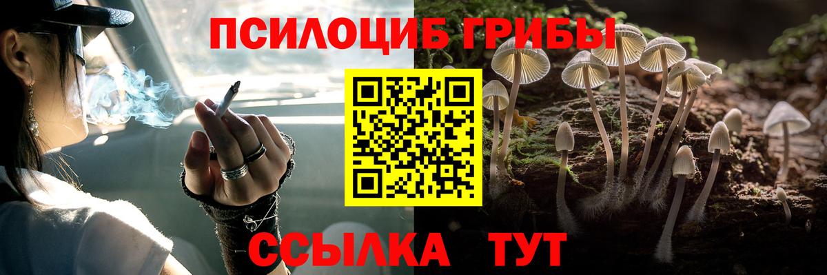 Мариинск  Псилоцибиновые грибы Psilocybe  Вход с VPN 